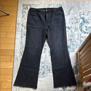 Ann Taylor Black The Boot Jeans